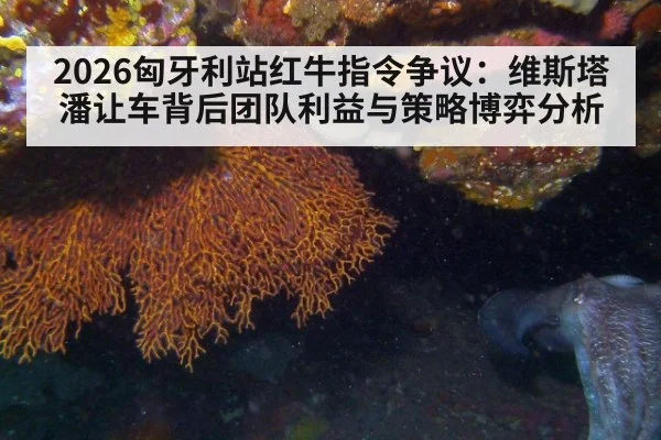 2026匈牙利站红牛指令争议：维斯塔潘让车背后团队利益与策略博弈分析